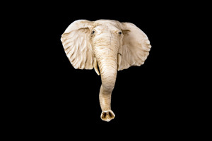 This is a stunning hand carved eco-ivory Elephant plaque, that has the Elephant's trunk down. The dimensions of the elephant plaque are 3.91" x 4.40" x 2.11".  The SKU is C-2.

This unique Elephant plaque will make a great addition to any room in the house.  You can hang it up to display on walls, or remove the plaque backing to have the Elephant shown on a flat surface.  

This piece was originally hand carved by Sheryl Tray, an artist located in Hawaii.  The artwork you see here is a memory, captured in clay by Sheryl in her many travels.  The clay original, sculpted in her small studio in Honolulu, is sent to a sent to us to be cast in either metal or resin and presented here for you to enjoy.  Please take a piece home for yourself, or as a present for a special friend who loves and values the great outdoors as much as Sheryl.