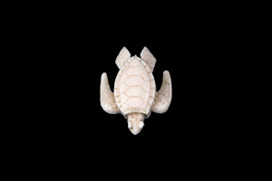 This is a beautiful hand carved eco-ivoryTurtle Statue.  The dimensions of the Turtle Statue are 1.21" x 0.42" x 1.60".  The SKU is C-25.

This unique Turtle Statue statue will make a great addition to any room in the house.  You can place it on any flat surface to diplay, or a great gift for children to have.

All statues are hand carved in clay.  We then make a mold of the original piece before producing them into the final acrylic resin product with an antique finish.