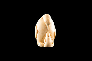This is a stunning hand carved eco-ivory Double Penguin Statue.  The dimensions of the Double Penguin Statue are 1.45" x 2.26" x 1.71".  The SKU is C-24.  This beautiful piece has mother penguin feeding a younger penguin

This unique Double Penguin Statue will make a great addition to any room in the house.  You can place it on any flat surface to display, or a great gift for children to have.

All statues are hand carved in clay.  We then make a mold of the original piece before producing them into the final acrylic resin product with an antique finish.
