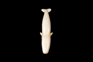 This is a beautiful hand carved eco-ivory Alaskan Carved Bowhead Whale Statue.  The dimensions of the Alaskan Carved Bowhead Whale Statue are 0.89" x 0.75" x 3.75".  The SKU is C-8.

This unique Alaskan Carved Bowhead Whale Statue will make a great addition to any room in the house.  You can place it on any flat surface to display, or a great gift for children to have.

All statues are hand carved in clay.  We then make a mold of the original piece before producing them into the final acrylic resin product with an antique finish.