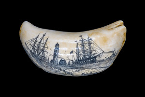 Front of tooth.  This stunning replica Sperm Whale Tooth is part of the collection at the Nantucket Whaling Museum.  The title of this tooth is called "A View of Brant Point 1842". It is a replica of an Antique Tooth that was originally made by Artek for the Nantucket Whaling Museum.  The scene is of Nantucket in the 1800's.  The original was etched over 100 years ago.  The reproduced tooth is currently made in our office in Fall River, MA. 

The tooth is depicting a horizontal scene of Brant Point with two three masted ships in foreground and lighthouse between them.  On the right a ship, on camels, is being towed into the harbor by a tug boat and the ship on the left is displayed on the wharf.

The replica Sperm Whale Teeth is finished to give it the appearance of an antique tooth.  It also had ridges and edges similar to that of our real tooth.  This beautiful replica Sperm Whale Tooth weighs 24.51 ounces.  The dimensions are 7.5" x 3.12"x 2.67".  The item number is SP - 03.