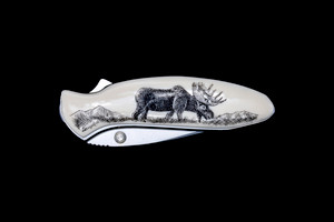 NC 1600 - 119 Moose Kershaw Chive (1600) Pocket Knife.  This unique originally hand etched Moose design on a Kershaw 1600 Chive Speedsafe Assisted Opening Pocket Knife.  The back of the knife has a belt clip/ money clip and the knifes come with the pictured sheath.  It has a lock blade and is a useful pocket knife.  The artwork was originally hand etched by Linda Layden.  The dimensions of the Kershaw 1600 Chive Pocket knife with the blade closed are 2.95" x 0.92" x 0.53".  The blade itself is approximately 1.9" making the width of the knife with an open blade 4.85".  The SKU is NC 1600 - 119.

Linda Layden has been making beautiful works of art in the scrimshaw field for over 40 years.  Originally a hobby that became a full time job.  Her work can be found in gift shops, galleries and museums across the world.  

It is a bead-blasted 1. 9” high-performance blade made of 420HC steel offers good edge retention and excellent corrosion resistance. With a matching stainless steel handle is resistant to corrosion and also finished with a non-reflective matte bead-blasted finish.  The acrylic resin is placed on top of the handle.  Handle features SpeedSafe assisted opening, secure frame lock, Tip-lock slider and convenient single-position pocket clip.  Capable of everyday cutting tasks at home or at work such as cutting zip-ties, stripping small wire, slicing fruit and removing staples.  Perfect for everyday carry in a pocket, purse, backpack, briefcase, on a belt or around the neck with the handle’s predrilled lanyard hole.