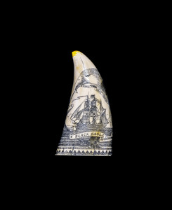 Front of SP 07.  This stunning replica Sperm Whale Tooth is part of the collection at the Nantucket Whaling Museum.  The title of this tooth is called "Black Eagle". It is a replica of an Antique Tooth that was originally made by Artek for the Nantucket Whaling Museum.  The front of the replica tooth has the Black Eagle Whaling Ship, with an Eagle over head. The home port of "New Bedford" and the Captain's Name, "Captain Edwin White" are etched inside a banner on the front of the tooth. On the back is an Eagle face with an American Flag design.   The original was etched over 100 years ago.  The reproduced tooth is currently made in our office in Fall River, MA.  The finish is made to recreate the look of an antique tooth.  

This beautiful replica Sperm Whale Tooth weighs 9.7 ounces.  The dimensions are 6.12" x 2.56"x 1.64".  The item number is SP - 07. 

The resin scrimshaw piece is hand etched on corian, which cuts like ivory.  We then make a mold of the original piece and do an open cast pour of our resin mixture.  The pieces are removed from the mold and sanded and inked.