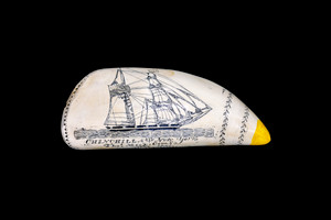 SP 09 Front Chinchilla .  This stunning replica Sperm Whale Tooth is part of the collection at the Peabody Essex Museum.  The title of this tooth is called "Brigantine Chinchilla & Brigantine Tamaahmah". It is a replica of an Antique Tooth that was originally made by Artek for the Peabody Essex Museum.  The scene is two sailing ships, one the Brig Chinchilla out of New York Commanded by Thomas Meek.  The other is of the Brig Tamaahmaah out of New York Commanded by John Meek.  The original was etched in 1825 by Edward Burdett.  He is considered to be America's First Master Scrimshaw Artist. The reproduced tooth is currently made in our office in Fall River, MA.  The finish is made to recreate the look of an antique tooth.  

This beautiful replica Sperm Whale Tooth weighs 11.35 ounces.  The dimensions are 7.67" x 2.83"x 2.08".  The item number is SP - 09.