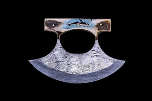 This beautiful etched Orca/Killer Whale colored ink design on Shed Antler handle on a Damascus Ulu Blade.  

An ulu is an all-purpose knife traditionally used by Inuit, Iñupiat, Yupik, and Aleut women. The knife can be used in a variety of diverse ways such as skinning and cleaning animals, cutting a child's hair, cutting food, and sometimes even trimming blocks of snow and ice used to build an igloo.

The artwork was originally hand etched by Bill Feeney. He received a Bachelor of Arts degree in Mathematics from Saint Francis College in Bidderford, Maine, In 1973 I accepted a teaching position at Westport High School where I met Robert Rayno, the art teacher. As part of the class curriculum, he taught a section on scrimshaw. I sat in on many of his classes and purchased the necessary tools and ivory to begin etching. Combining my natural artistic ability with the techniques learned from Mr. Rayno, the cornerstone of "Spouting Whale" was established.

The weight of the knife is 8.99 ounces and the dimensions of the DM 005 Knife closed are 5.44" x 3.77" x 0.88".   The SKU is DM 005 403C.  The knife comes with the pictured leather sheath.

  During the winter season, moose shed their antlers before regrowing them in the spring. The shedding process, also known as casting, is a normal event that occurs annually for many male cervids—a group of hoofed mammals like moose, deer and elk.

Damascus steel is a type of steel easily recognisable by its wavy patterned design. Aside from its sleek look and beautiful aesthetics, Damascus steel is highly valued as it is hard and flexible while maintaining a sharp edge. Weapons forged from Damascus steel were far superior to those formed from just iron.  It a combination of carbon steel and regular steel that is folded 71 times.  

Features:
Shed Antler Handle
Scrimshaw
Etched
Animal Design
Killer Whale
Orca
Ulu
Damascus Blade

Carbon and regular Steel
Folded 71 times