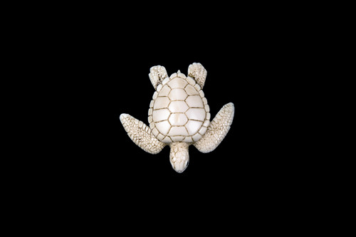 This is a beautiful hand carved eco-ivory Sea Turtle Statue.  The dimensions of the Sea Turtle Statue are 2.09" x 0.63" x 2.07".  The SKU is C-27.

This unique Sea Turtle Statue statue will make a great addition to any room in the house.  You can place it on any flat surface to display, or a great gift for children to have.

All statues are hand carved in clay.  We then make a mold of the original piece before producing them into the final acrylic resin product with an antique finish.