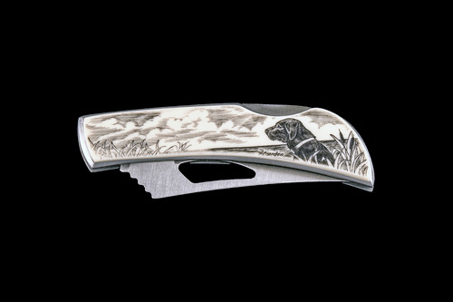This unique originally hand etched Black Lab design on a Stainless Steel Silver Hawk Knife.  The back of the knife has a belt clip and all the knifes come with the pictured sheath.  It is a lock blade knife.  The artwork was originally hand etched by Linda Layden.  The dimensions of the Silver Hawk knife with the blade closed are 3.00" x 0.96" x 0.55".  The blade itself is approximately 2.35" making the width of the knife with an open blade 5.35".  The SKU is NC 14 - 135.

Linda Layden has been making beautiful works of art in the scrimshaw field for over 40 years.  Originally a hobby that became a full time job.  Her work can be found in gift shops, galleries and museums across the world.