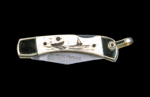 This unique hand etched Ship and Whale design on a 440 Stainless Steel Blade LB 1 Knife.  This beautiful knife is part of the Scrimshaw Collection, with those words laser engraved into the blade.  The LB 1 knifes come with the pictured leather sheath and each scale is made with Bovine Bone.  The LB 1 Knife has bolsters and shackle that are nickel silver with brass pins and liner.  It is a lock blade knife and a very useful pocket knife. The knife also has a key chain ring at the end of the knife.  The dimensions of the LB 1 Pocket Knife with the blade closed are 2.24" x 0.68" x 0.31".  The blade itself is approximately 1.67" making the width of the knife with an open blade 3.91".  The SKU is LB-1 403.