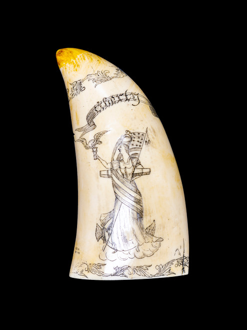 SP 06 Front.  This georgous replica Sperm Whale Tooth is part of the collection at the Nantucket Whaling Museum.  The title of this tooth is called "Liberty". It is a replica of an Antique Tooth that was originally made by Artek for the Nantucket Whaling Museum.  The front of the replica tooth depicts Lady Liberty with the phrase "Liberty" is engraved in the tooth.  On the back is battle scence from sea.  The words "Peacock & Le. Epervere" is engraved on the piece.  

The original was etched over 100 years ago.  The reproduced tooth is currently made in our studio in Fall River, MA.  The finish is made to recreate the look of an antique tooth.  

This beautiful replica Sperm Whale Tooth weighs 12.45 ounces.  The dimensions are 3.12" x 6.51" x 2.06".  The item number is SP - 06.