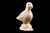 This is a beautiful hand carved eco-ivory Puffin Statue.  The dimensions of the Puffin Statue are 0.86" x 1.88" x 1.80".  The SKU is C-56.  

This stunning Puffin Statue will make a great addition to any room in the house.  You can place it on any flat surface to display, or a great gift for children to have.

All statues are hand carved in clay.  We then make a mold of the original piece before producing them into the final acrylic resin product with an antique finish.