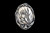 MVD PN 38 Perennial Design.  This is a beautiful originally hand etched Perennial Beauty Pin/Pendant | F&F Inc. designed pin/pendant. The piece has a Perennial Flower design.  The backing of this piece has the findings to be a pin, as well as a pendant.  They come with an 18" Silver Plated Chain.  This is part of the incredible line of Mossup Valley Designs that we carry, with the wonderful artist Rachel Badeau.  The dimensions of the necklace are 1.35" x 1.81" x 0.34".  The SKU is MVD PN 38.

Rachel Badeau has been etching and engraving in a variety of media for over thirty years.  Her work, characterized by fine line and intricate detail, attempts to touch the hearts and emotions of others.  All while reflecting her love of animals, nature and the human spirit.  

The resin scrimshaw piece is originally hand etched by Rachel Badeau.  We make a mold of the original piece and do an open cast pour of our resin mixture.  The pieces are removed from the mold and sanded and inked.