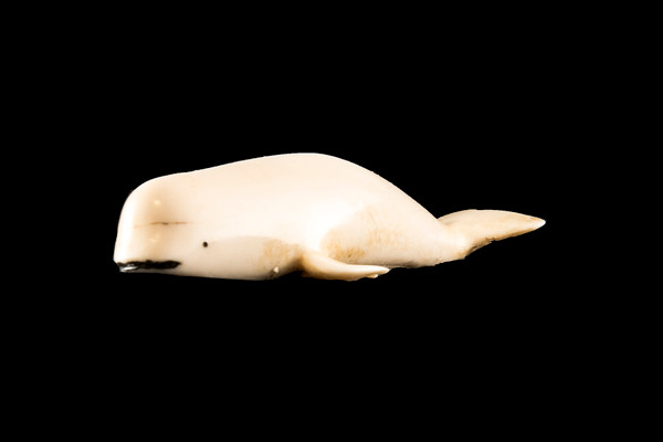 This is a beautiful hand carved eco-ivory Bowhead Whale Statue.  The dimensions of the Bowhead Whale Statue are 1.46" x 0.74" x 3.83".  The SKU is C-7.

This unique Bowhead Whale Statue will make a great addition to any room in the house.  You can place it on any flat surface to display, or a great gift for children to have.

All statues are hand carved in clay.  We then make a mold of the original piece before producing them into the final acrylic resin product with an antique finish.