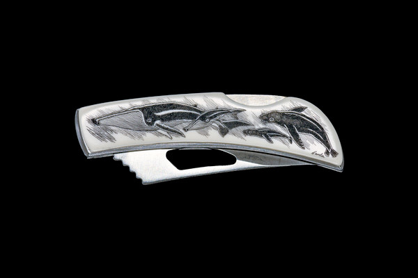 NC 14 12 Humpback.  This stunning originally hand etched Eco Ivory Humpback Whale and Calf with Seal and Calf design on a Stainless Steel Silver Hawk Knife.  The back of the knife has a belt clip and all the knifes come with the pictured sheath. It is a lock blade knife and a useful pocket knife.  The artwork was originally hand etched by Hamlin Gilmore.  The dimensions of the Silver Hawk knife with the blade closed are 3.00" x 0.96" x 0.55".  The blade itself is approximately 2.35" making the width of the knife with an open blade 5.35".  The SKU is NC 14 - 12.

The unique artwork has a Humpback Whale swimming with it's calf, with a Seal and Baby Seal following behind. The artwork was made by Hamlin Gilmore.  He is based out of Maui.  An Art School Graduate, and has been a scrimshander for fifty years.  He is a highly collected modern scrimshaw artist.