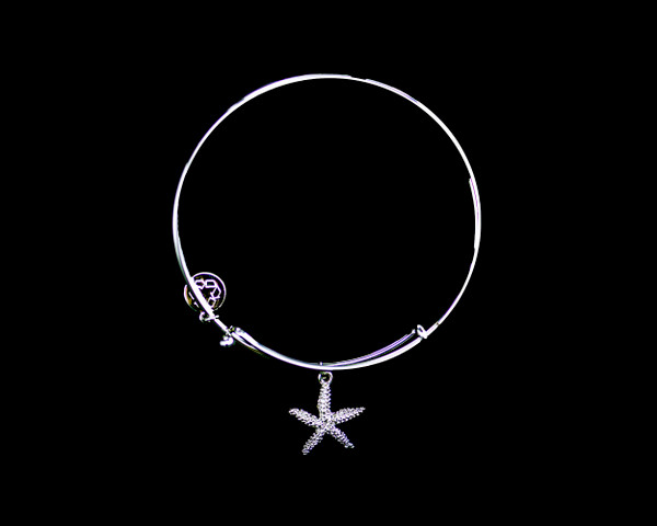 The beautiful adjustable bracelet is decorated with a Star Fish Charm.  The product ID is NC 07-901-S.

This bracelet is a one size for most, with an adjustable wire band.  Each bracelet can be customized with different unique charms to attach.  All parts are made in the USA!.

The silver bracelets are steel with rhodium plating.  They are e-coated to help prevent tarnishing.

The Star Fish Charm is a lead free casted pewter.