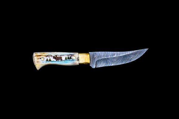 This unique Shed Moose Antler handle that has a hand etched moose design with a straight damascus blade.  The weight of the knife is 3.5 ounces and the dimensions of the DM 002 Knife open are 4.58" x .68" x 0.769".  The blade itself is approximately 2.54".  The SKU is DM 002 119C.  This beautiful knife comes with the pictured leather sheath.

The artwork was done by Chris. Someone that has been involved in the artworld engraving and etching for 20 years.

During the winter season, moose shed their antlers before regrowing them in the spring. The shedding process, also known as casting, is a normal event that occurs annually for many male cervids—a group of hoofed mammals like moose, deer and elk.

Damascus steel is a type of steel easily recognisable by its wavy patterned design. Aside from its sleek look and beautiful aesthetics, Damascus steel is highly valued as it is hard and flexible while maintaining a sharp edge. Weapons forged from Damascus steel were far superior to those formed from just iron.  It a combination of carbon steel and regular steel that is folded 71 times.  

Features:
Shed Antler Handle
Moose Etched Design
Small Knife
Leather Sheath
Damascus Blade

Carbon and regular Steel
Folded 71 times