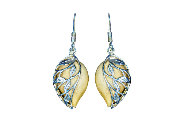 Elegant Teardrop Alaskan Mammoth with Leaf Design Sterling Silver French Wire Earring | F&F Inc.




This is a stunning Teardrop Alaskan Mammoth Sterling Silver earring.  The measurements of the earrings are approximately 56" x .82".  The product ID is EM-1225-S.

The pre-historic Mammoth tusks are found as a bi - product of the gold mining industry in Alaska. They are carbon dated to be approximately 25,800 years old.  The color of your mammoth tusk may vary due to the minerals in the ground water where the tusks are buried.  The varying color of the mammoth tusks make each piece of jewelry unique. Cracks and splits in the ivory occur naturally due to it’s great age.  Our materials are considered eco-friendly because no animals were harmed in the making of this beautiful piece of jewelry. 

Enjoy your unique piece of history!

Due to State law, the sale of antique Mammoth Ivory is not allowed to be sold in the following states. California, Hawaii, Nevada, New Jersey, New York, and Oregon.  If the product is to be shipped to these states, the order will be cancelled and you will be notified!

Features
Antique Mammoth Tusk
Teardrop Shape
Sterling Silver Casing with Leaf Design

Sterling Silver
Custom Artwork is available
Lifetime Guarantee!!