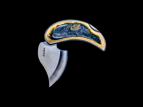 This is our beautiful Mammoth Bark Pocket Ulu.  The Mammoth Bark handle is only on the front of the knife handle.  The blade is made out of a 440 Stainless Steel. The blade has Alaska engraved on the front side of the blade.  The dimensions of our knife with the blade closed is 2.79" x 1.58".  The dimensions of the knife with the blade opened is 4.54" x 1.58".  The product ID # KPUMB

The Ulu knife was their main cutting tool and all-purpose knife used by the Eskimo's.   It was originally made from flat, thin, rocks, slate, or even jade. Handles were fashioned out of wood, ivory, or bone and often decorated with distinctive markings of the craftsman.   It is utilized in applications as diverse as skinning and cleaning animals, cutting a child's hair, cutting food, as a weapon and, if necessary, trimming blocks of snow and ice used to build an igloo.  


Our Pocket Ulu are a rare knife that offer a variety of options to utilize this unique knife.  

Pre-Historic Mammoth tusks are found as a bi - product of the gold mining industry in Alaska. They are carbon dated to be approximately 25,800 years old.  The color of your Mammoth tusk may vary due to the minerals in the ground water where the tusks are buried.  The varying color of the mammoth tusks make each piece of jewelry unique. Cracks and splits in antique mammoth tusks are a natural occurrence due to the age of the item.  Our materials are considered eco-friendly because no animals were harmed in the making of this one of a kind piece of jewelry. 

Mammoth bark is the outter layer of the Mammoth tusk, a unique material with distinctive patina and colorations from minerals in the soil, contrasting with the uniform inner ivory. It is used by artisans for sculpting, crafting, polishing, and creating items like knife handles and jewelry. The bark's appearance and value depend on the specific tusk and its geological history, with natural weathering creating its unique textures and colors. 

Enjoy your unique piece of history!

Due to State law, the sale of antique Mammoth Ivory is not allowed to be sold in the following states. California, Hawaii, Nevada, New Jersey, New York, and Oregon.  If the product is to be shipped to these states, the order will be cancelled and you will be notified!

Features
Knife handle and blade is 440 Stainless Steel
Multi purpose Knife Blade
Mammoth Bark Handle