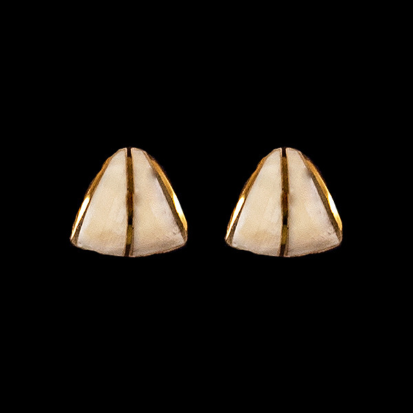 Teardrop Mammoth Ivory with 14K Gold Bar Earring