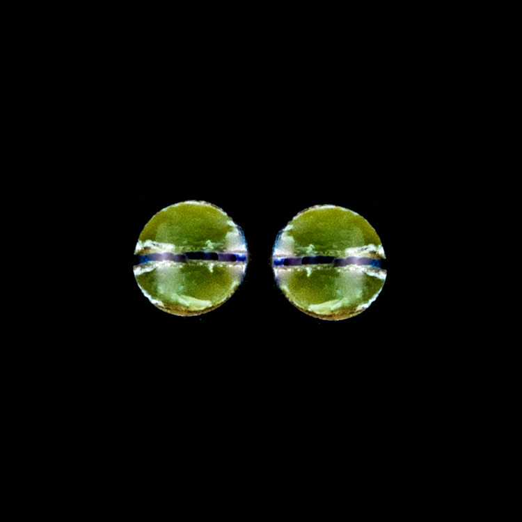 This trendy round Alaskan Jade is inlayed into a beautiful Sterling Silver earring.  These unique earrings have a post backing.  The diameter of the round mammoth tusk is approximately .29".