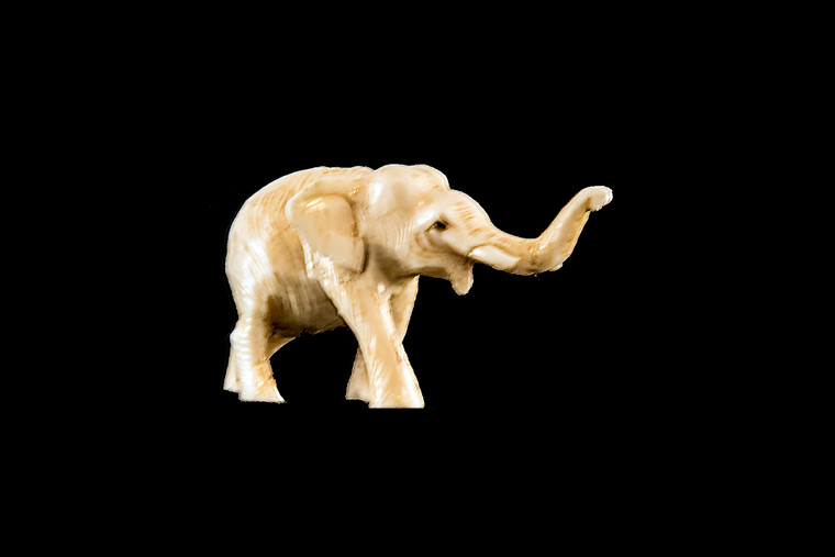 This is a beautiful hand carved eco-ivory Elephant Statue.  The dimensions of the Elephant Statue  are .76" x 1.07" x 2.04".  The SKU is C-3.

This unique Elephant statue will make a great addition to any room in the house.  You can place it on any flat surface to diplay, or a great gift for children to have.

All statues are hand carved in clay.  We then make a mold of the original piece before producing them into the final acrylic resin product.