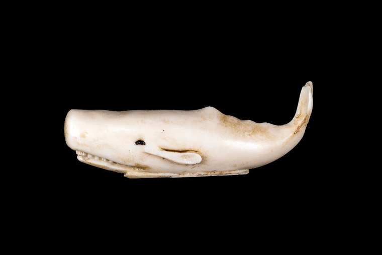 This is a artistic hand carved eco-ivory Sperm Whale Statue.  The dimensions of the Sperm Whale Statue are 0.75" x 0.75" x 2.81".  The SKU is C-12.

This beautiful Sperm Whale Statue will make a great addition to any room in the house.  You can place it on any flat surface to display, or a great gift for children to have.

All statues are hand carved in clay.  We then make a mold of the original piece before producing them into the final acrylic resin product with an antique finish.