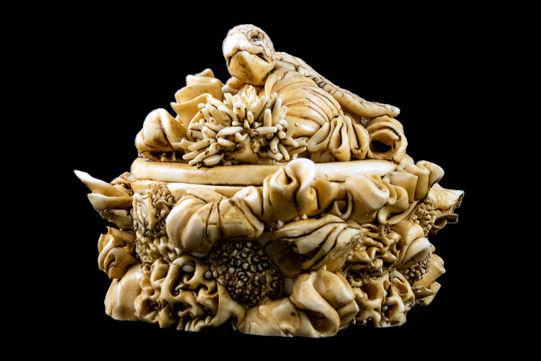 Hand Carved Eco Ivory Turtle Round Box | F&F Inc.