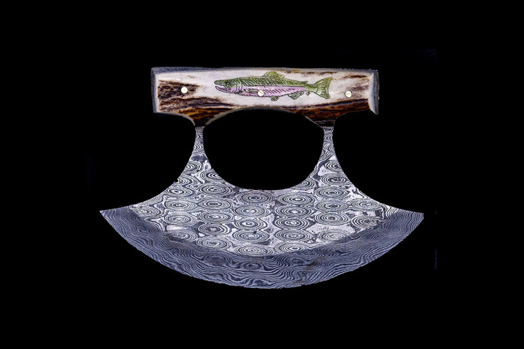 This unique etched Salmon/Trout colored ink design on Shed Antler handle In a Damascus Ulu Blade.  

An ulu is an all-purpose knife traditionally used by Inuit, Iñupiat, Yupik, and Aleut women. The knife can be used in a variety of diverse ways such as skinning and cleaning animals, cutting a child's hair, cutting food, and sometimes even trimming blocks of snow and ice used to build an igloo.

The artwork was originally hand etched by Bill Feeney. He received a Bachelor of Arts degree in Mathematics from Saint Francis College in Bidderford, Maine, In 1973 I accepted a teaching position at Westport High School where I met Robert Rayno, the art teacher. As part of the class curriculum, he taught a section on scrimshaw. I sat in on many of his classes and purchased the necessary tools and ivory to begin etching. Combining my natural artistic ability with the techniques learned from Mr. Rayno, the cornerstone of "Spouting Whale" was established.

The weight of the knife is 8.99 ounces and the dimensions of the DM 005 Knife closed are 5.44" x 3.77" x 0.88".   The SKU is DM 005 109C.  The knife comes with the pictured leather sheath.

  During the winter season, moose shed their antlers before regrowing them in the spring. The shedding process, also known as casting, is a normal event that occurs annually for many male cervids—a group of hoofed mammals like moose, deer and elk.

Damascus steel is a type of steel easily recognisable by its wavy patterned design. Aside from its sleek look and beautiful aesthetics, Damascus steel is highly valued as it is hard and flexible while maintaining a sharp edge. Weapons forged from Damascus steel were far superior to those formed from just iron.  It a combination of carbon steel and regular steel that is folded 71 times.  

Features:
Shed Antler Handle
Scrimshaw
Etched
Snimal Design
Salmon
Trout
Ulu

Damascus Blade

Carbon and regular Steel
Folded 71 times