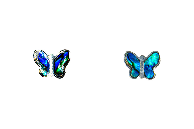 Small Butterfly Northern Lights Sterling Silver Earring | F&F Inc.

This stunning paua shell is inlaid into a beautiful Small Butterfly Sterling Silver earring.  The Paua Shell is from New Zealand. These unique earrings have a post backing.  The measurements of the earrings are approximately .38" x .30".  The product ID is ENL-1115-S

This is our line of PĀUA Shell Jewelry.  In New Zealand, abalone is called pāua or blackfoot pāua is the ubiquitous New Zealand pāua the highly polished nacre of which is extremely popular as souvenirs with its striking blue, green, and purple iridescence that allows for the stunning jewelry.

Enjoy your unique set of earrings!!

Features:
Northern Lights
     Paua Shell
Butterfly Shaped
Sterling Silver 
USA Made Setting