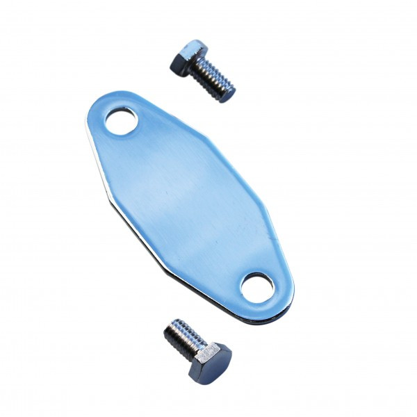 Fuel Pump Block-Off Plate - Chrome - Racing Power Company
