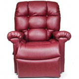  Infinite Position Lift Chairs