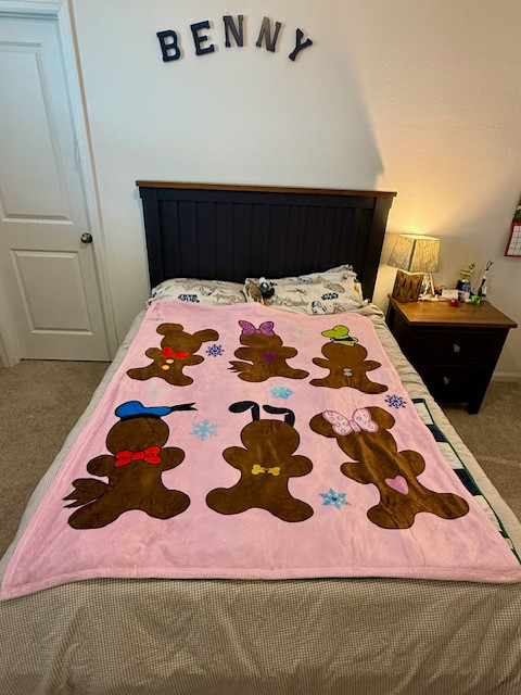 Double-Sided Gingerbread & Snowflake Friends