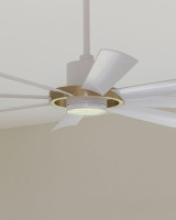Ceiling Fans Save the Day (and night)