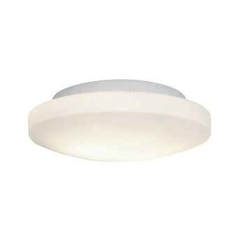 Orion Two Light Flush Mount in White (18|50160-WH/OPL)