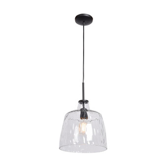 Clear LED Pendant in Black (18|50938LEDDLP-BL/CLR)