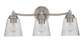 Tyler Three Light Vanity in Brushed Polished Nickel (46|50203-BNK)