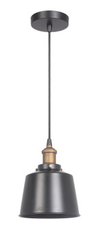 Pendant One Light Mini Pendant in Matte Black / Patina Aged Brass (46|P760MBKPAB1)