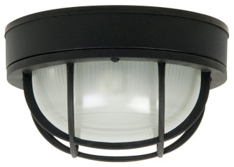 Bulkheads Oval and Round One Light Flushmount in Textured Black (46|Z395-TB)
