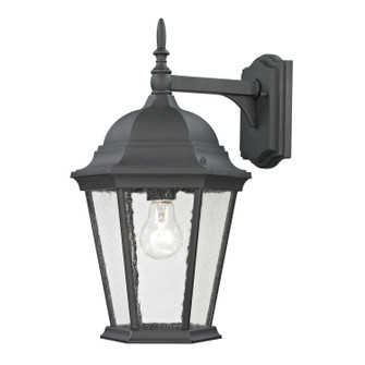 Temple Hill One Light Outdoor Wall Sconce in Matte Textured Black (45|8101EW/65)
