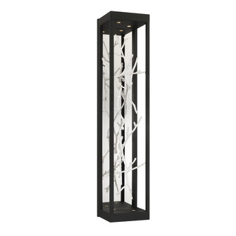 Aerie LED Wall Sconce in Black/Silver (40|38639-029)