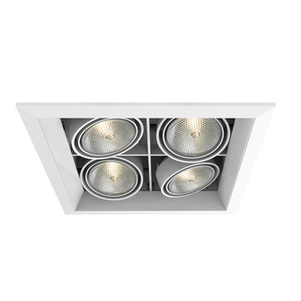 PAR20MULTI-GEN MULT,PAR20,TRM,4LT,SQ,WHT/WHT in White (40|TE164B-22)