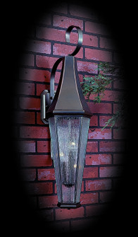 Le Havre Three Light Exterior Wall Mount in Iron (8|8925 IRON)