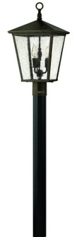 Trellis LED Post Top or Pier Mount Lantern in Regency Bronze (13|1431RB)