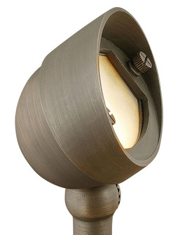 Hardy Island Accent Spot Light LED Flood Light in Matte Bronze (13|16571MZ-LL)