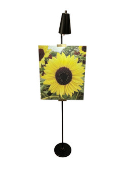 River North LED Floor Lamp in Black/Antique Brass (30|RN301-BLK/AB)