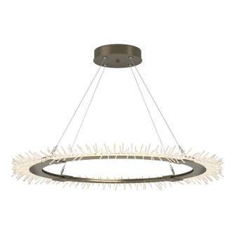 Anemone Anemone Circular LED Pendant in Soft Gold (39|139772-LED-STND-84)