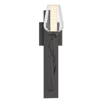 Flora One Light Wall Sconce in Natural Iron (39|203030-SKT-20-ZS0354)