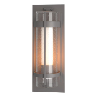 Torch One Light Outdoor Wall Sconce in Coastal Burnished Steel (39|305899-SKT-78-ZS0664)
