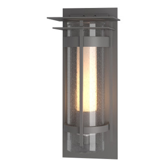 Torch Torch with Top Plate Outdoor Sconce in Coastal Burnished Steel (39|305997-SKT-78-ZS0655)