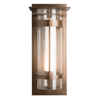 Torch One Light Outdoor Wall Sconce in Coastal Dark Smoke (39|305999-SKT-77-ZS0664)