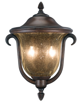 Santa Barbara Two Light Outdoor Porch Light in Burnished Bronze (33|9000BB)